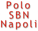Collegamento al sito del Polo SBN di Napoli